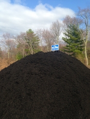 Bucciero Property Maintenance 508.254.0218 info@buccierolandscaping.com