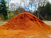 Bucciero Property Maintenance 508.254.0218 info@buccierolandscaping.com