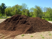Bucciero Property Maintenance 508.254.0218 info@buccierolandscaping.com