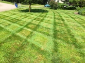 Bucciero Property Maintenance 508.254.0218 info@buccierolandscaping.com