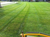 Bucciero Property Maintenance 508.254.0218 info@buccierolandscaping.com