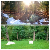 Bucciero Property Maintenance 508.254.0218 info@buccierolandscaping.com