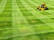 Bucciero Property Maintenance 508.254.0218 info@buccierolandscaping.com