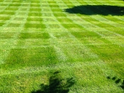 Bucciero Property Maintenance 508.254.0218 info@buccierolandscaping.com