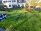 Bucciero Property Maintenance 508.254.0218 info@buccierolandscaping.com