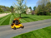 Bucciero Property Maintenance 508.254.0218 info@buccierolandscaping.com