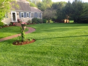Bucciero Property Maintenance 508.254.0218 info@buccierolandscaping.com