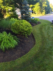 Bucciero Property Maintenance 508.254.0218 info@buccierolandscaping.com