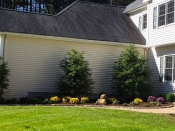 Bucciero Property Maintenance 508.254.0218 info@buccierolandscaping.com