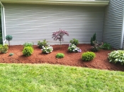 Bucciero Property Maintenance 508.254.0218 info@buccierolandscaping.com