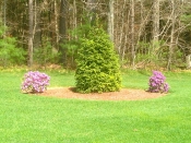 Bucciero Property Maintenance 508.254.0218 info@buccierolandscaping.com
