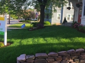 Bucciero Property Maintenance 508.254.0218 info@buccierolandscaping.com