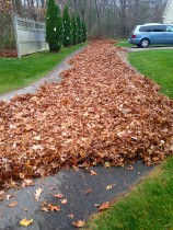 ornamental pruning aeration and over-seeding fall cleanups parking lot sweeping all phases of snow and ice management