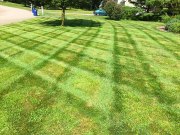 Bucciero Property Maintenance 508.254.0218 info@buccierolandscaping.com
