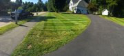 Bucciero Property Maintenance 508.254.0218 info@buccierolandscaping.com