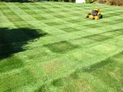 Bucciero Property Maintenance 508.254.0218 info@buccierolandscaping.com
