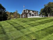 lawns