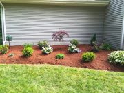 Bucciero Property Maintenance 508.254.0218 info@buccierolandscaping.com