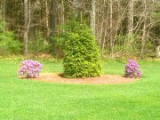 Bucciero Property Maintenance 508.254.0218 info@buccierolandscaping.com